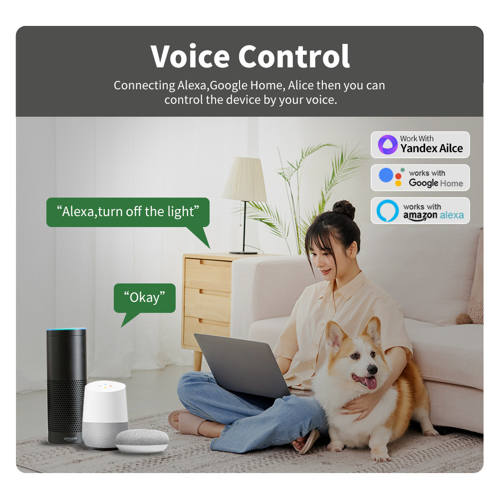 โมดูลสวิตช์อัจฉริยะมินิไวไฟ รอ - Sonoff Basic บทวิจารณ์และราคา