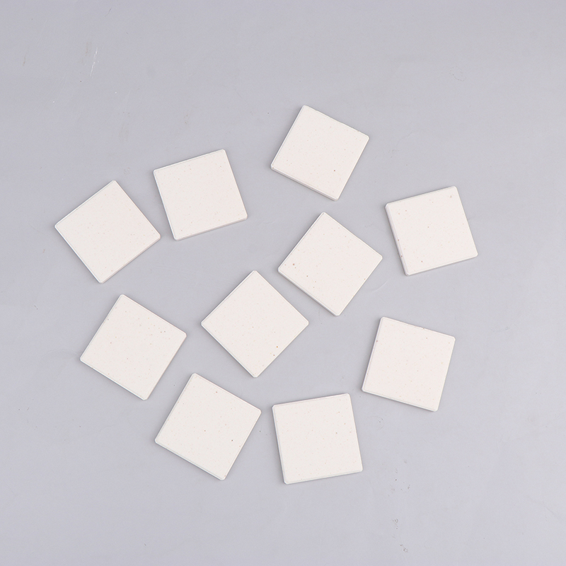 ถาดรองสำหรับปลูกปะการังเซรามิก - Shelly Plug บทวิจารณ์และราคา
