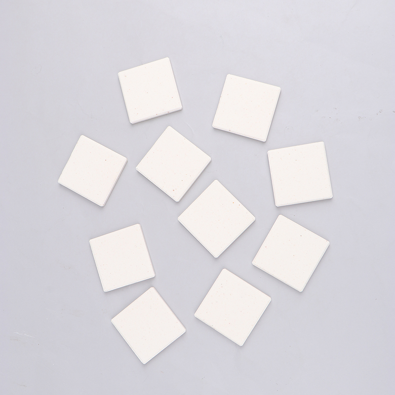 ถาดรองสำหรับปลูกปะการังเซรามิก - Shelly Plug บทวิจารณ์และราคา